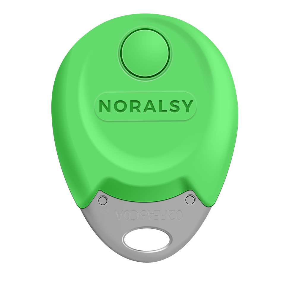 Badge Noralsy —